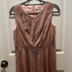Elegant Pink (Rose Gold) Sequin Dress